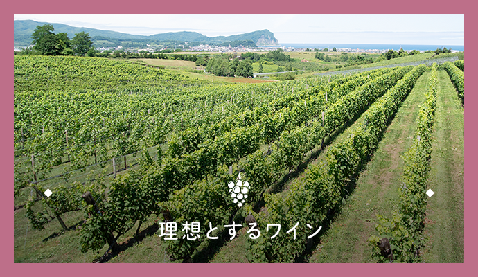 理想とするワインのためのぶどう栽培