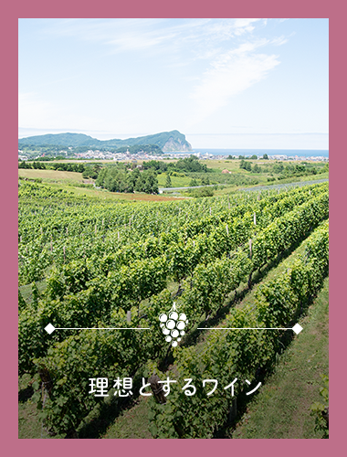 理想とするワインのためのぶどう栽培